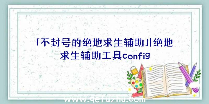 「不封号的绝地求生辅助」|绝地求生辅助工具config